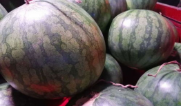 娱乐圈吃瓜买西瓜,娱乐圈瓜田乐享西瓜时光